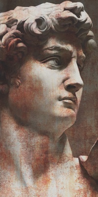 Ковер Давид 1 матовый обрезной 119,5x238,5x0,9 Ковер Давид 1 матовый обрезной 119,5x238,5x0,9