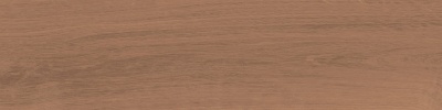 Аргания коричневый матовый 9,9x40,2x0,8
