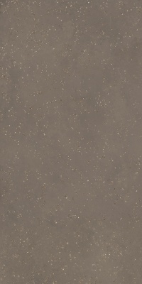 Пунтум коричневый матовый обрезной 60x119,5x0,8