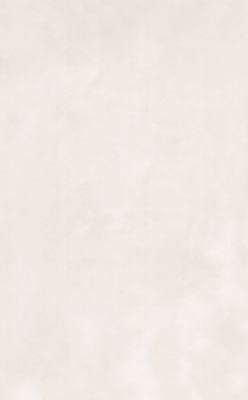 Фоскари бежевый глянцевый 25x40x0,8 Фоскари бежевый глянцевый 25x40x0,8