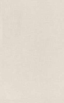 Ауленсия бежевый матовый 25x40x0,8 Ауленсия бежевый матовый 25x40x0,8