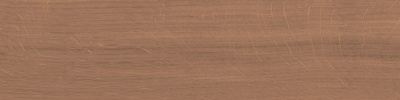 Аргания коричневый матовый 9,9x40,2x0,8