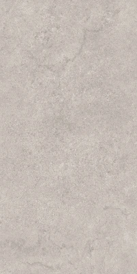 Портленд серый светлый матовый обрезной 60x119,5x2