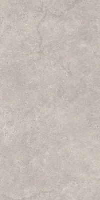 Портленд серый светлый матовый обрезной 60x119,5x2