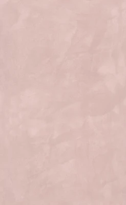 Фоскари розовый глянцевый 25x40x0,8