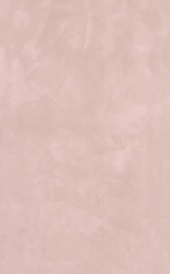 Фоскари розовый глянцевый 25x40x0,8