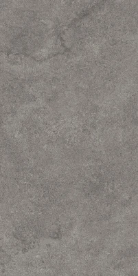 Портленд серый тёмный матовый обрезной 60x119,5x2