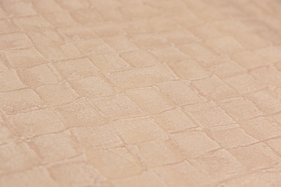 Обои виниловые на флизелиновой основе Мираж, база универсальная, коричневый светлый Обои виниловые на флизелиновой основе Мираж, база универсальная, коричневый светлый